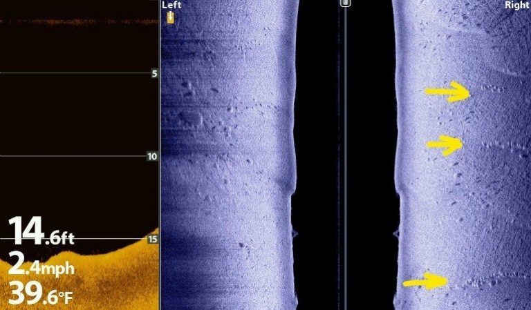 Scanner Fish Ladder How Fish Finders Work and How to Read Them • Sonar Wars