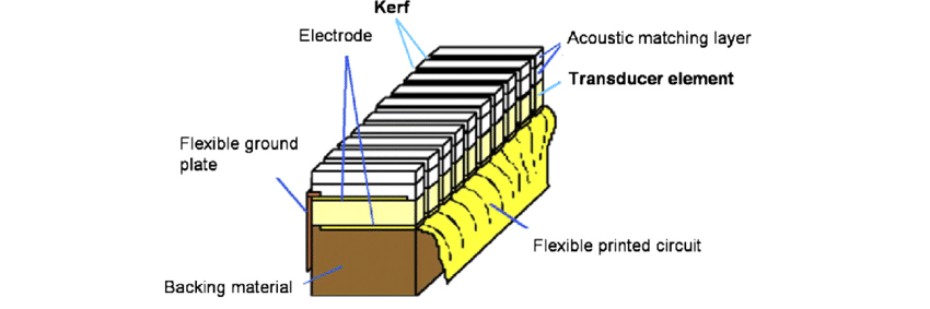 An illustrated schematic of an array transducer.